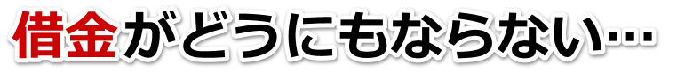 不安で寝られない。借金が返せない。我孫子市で無料相談して弁護士や司法書士の力を借りる