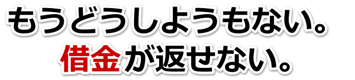 なんでこんなことに…。借金が返せない。草津市で弁護士や司法書士に無料で相談する